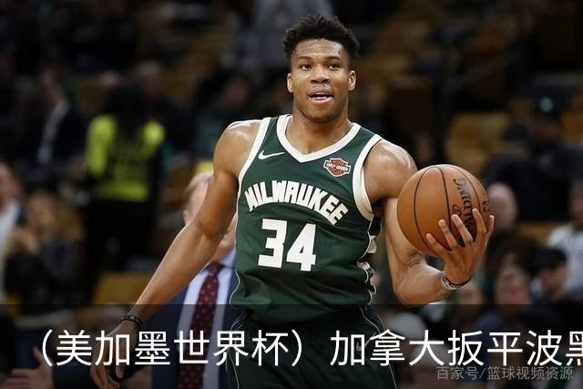 （美加墨世界杯）加拿大扳平波黑 获队史世界杯首分